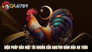 Hướng dẫn tham gia Ga6789 dành cho cược thủ