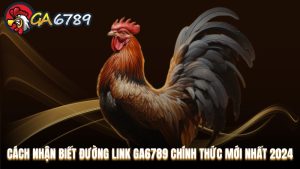 Hướng dẫn tham gia Ga6789 dành cho cược thủ