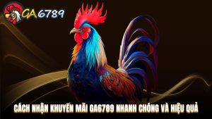 Hướng dẫn tham gia Ga6789 dành cho cược thủ