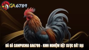 Cẩm Nang Cá Cược - Kinh nghiệm nghiệm cá cược tại Ga6789