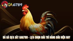 Cẩm Nang Cá Cược - Kinh nghiệm nghiệm cá cược tại Ga6789
