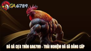 Cẩm Nang Cá Cược - Kinh nghiệm nghiệm cá cược tại Ga6789