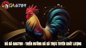 Cẩm Nang Cá Cược - Kinh nghiệm nghiệm cá cược tại Ga6789