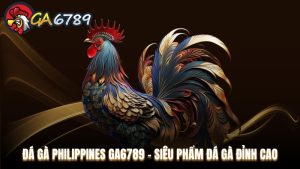 Cẩm Nang Cá Cược - Kinh nghiệm nghiệm cá cược tại Ga6789