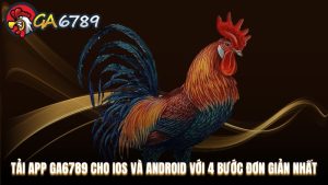 Hướng dẫn tham gia Ga6789 dành cho cược thủ