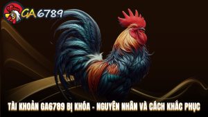Hướng dẫn tham gia Ga6789 dành cho cược thủ